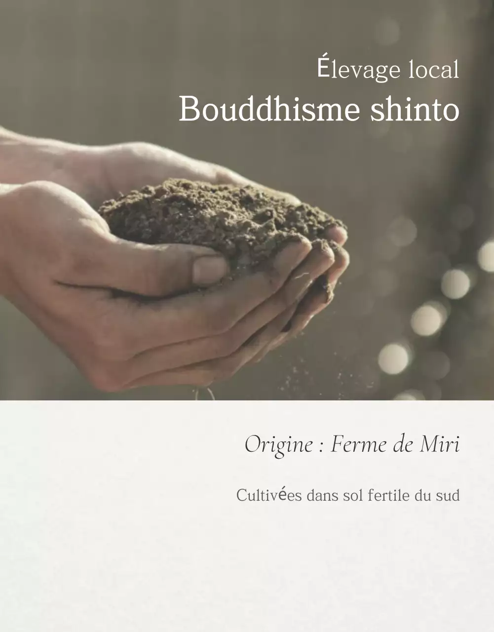 Fruits simples blancs Figues