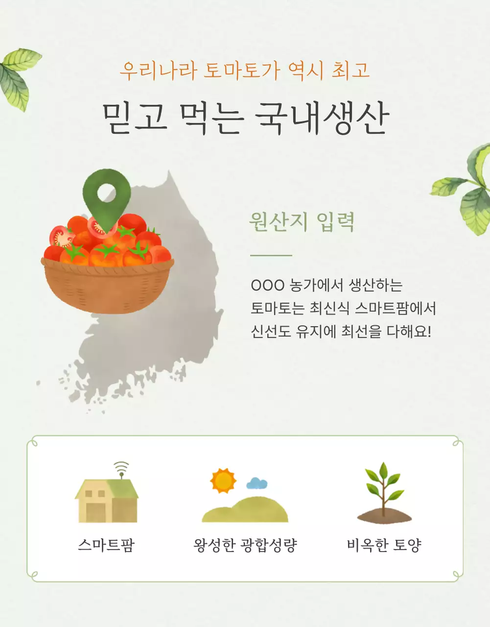 아이보리와 연두의 심플한 방울토마토 판매 홍보