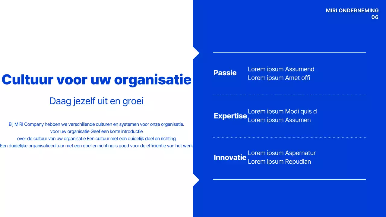 Blauw Handboek Moderne Organisatiecultuur