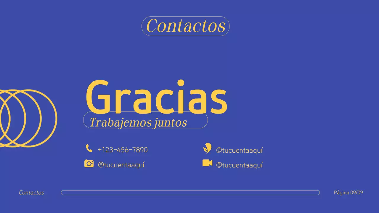 Azul Amarillo Profesional Cartera Creativa Presentación