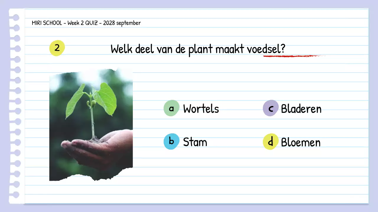 Quiz wetenschap