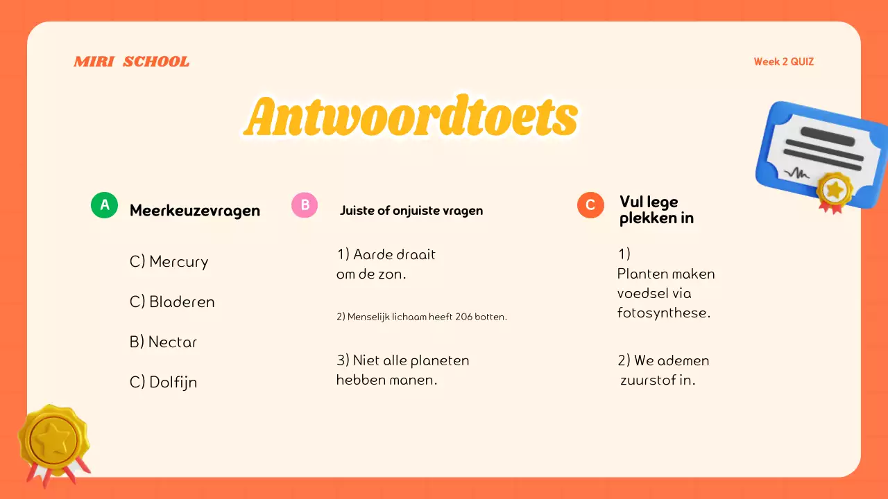 Kleurrijk modern quizlesmateriaal