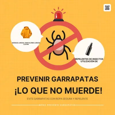 Sencillos consejos de seguridad preventiva de Orange