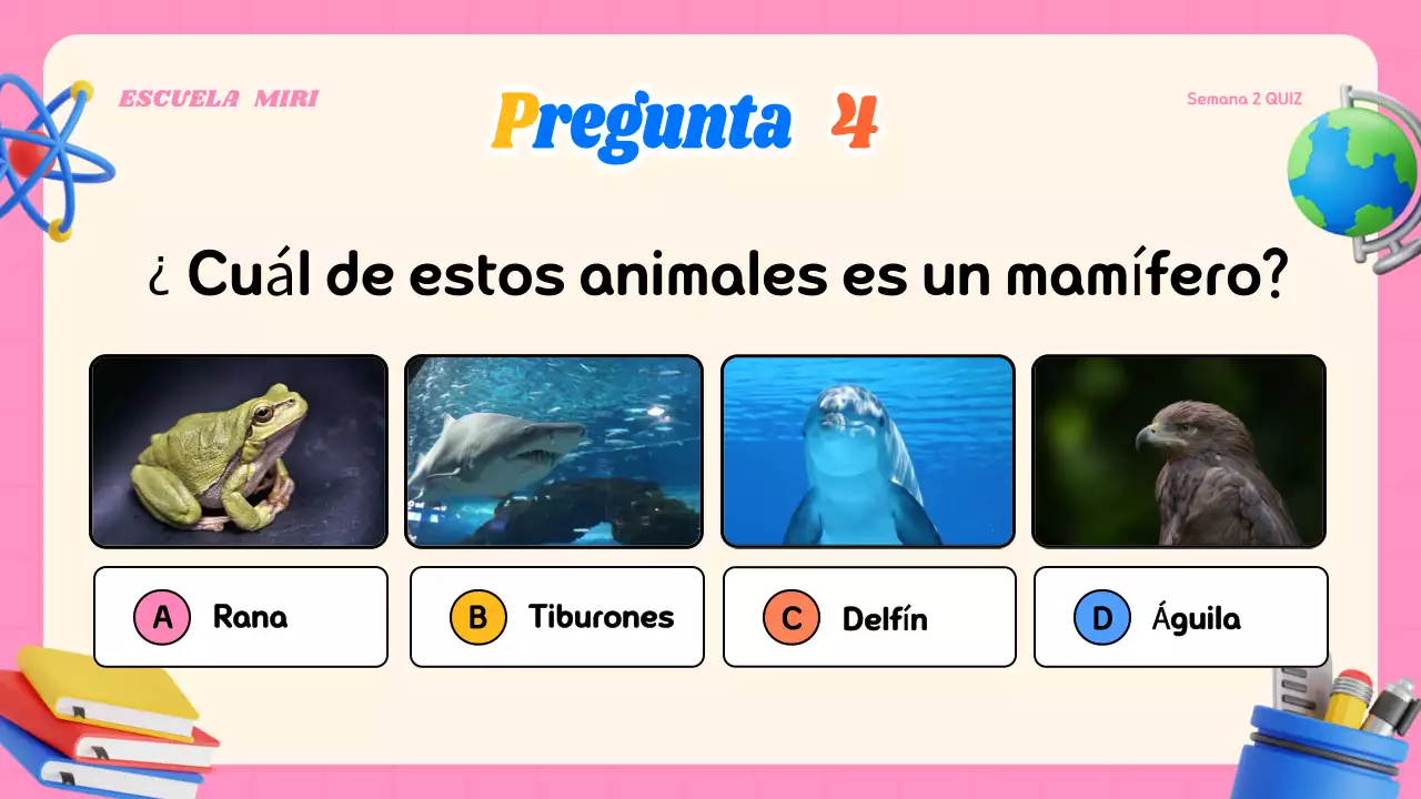 Material de clase de concurso moderno y colorido