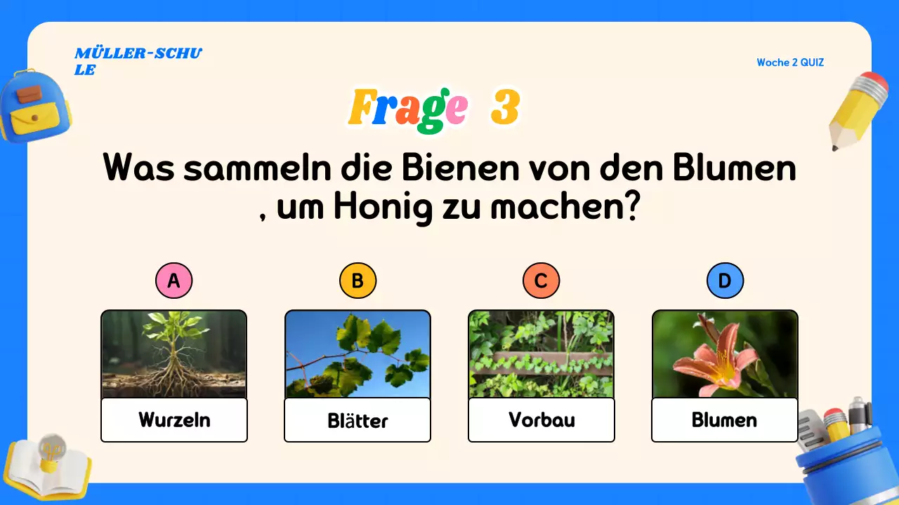 Buntes modernes Quiz-Klassenmaterial