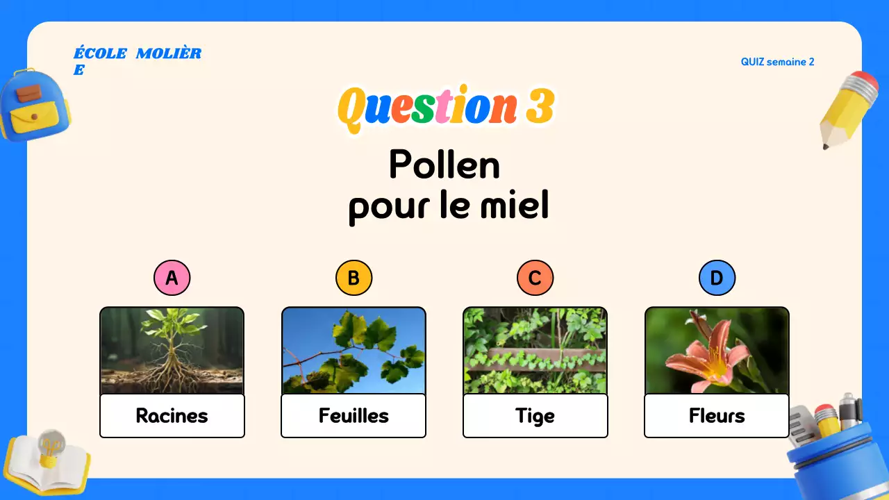 Matériel de classe Quiz moderne et coloré