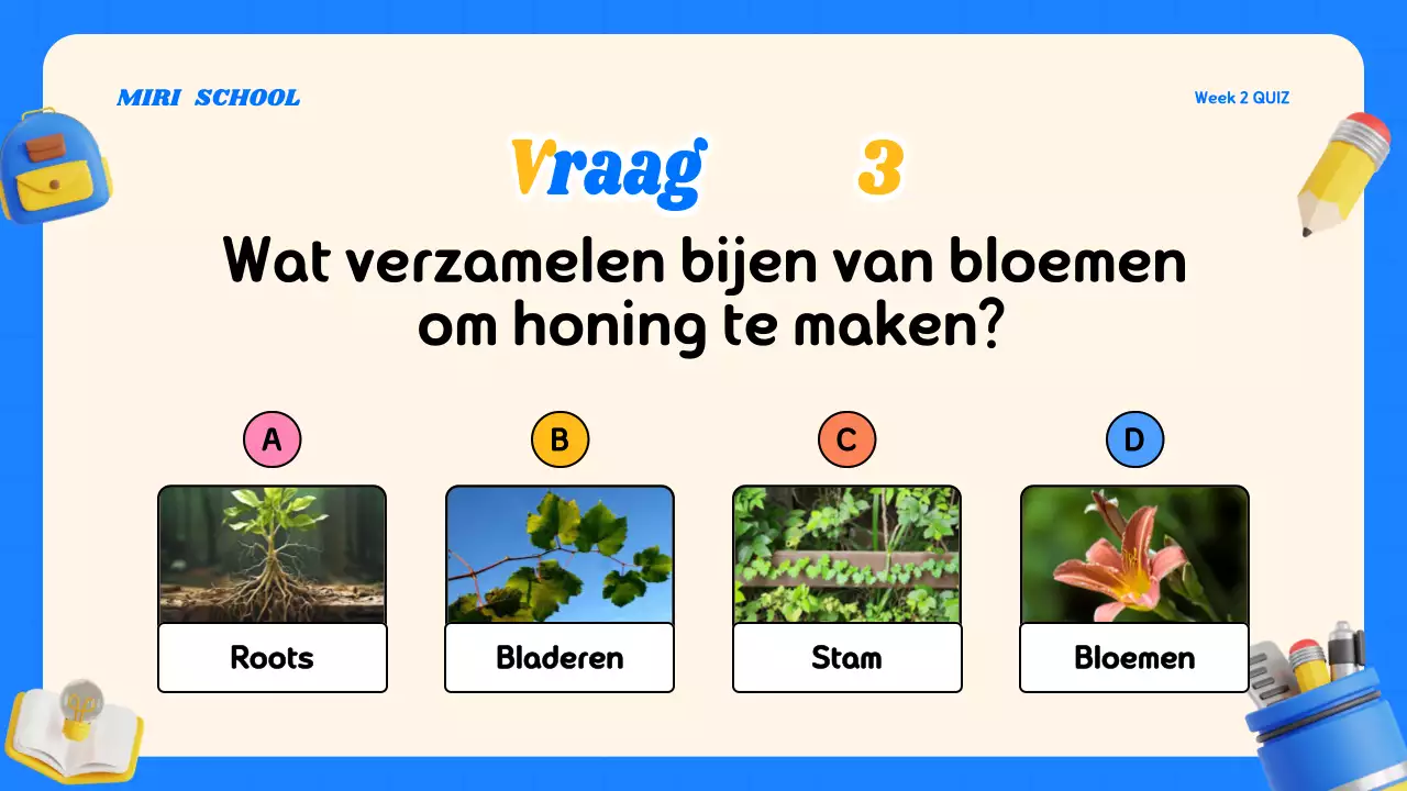 Kleurrijk modern quizlesmateriaal