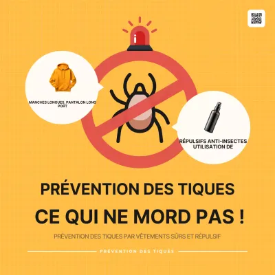 Conseils de sécurité simples de la part d'Orange