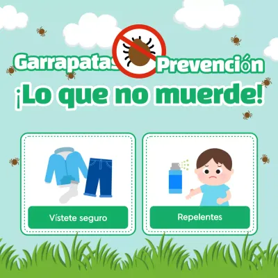 Campaña Mint de consejos sencillos de seguridad