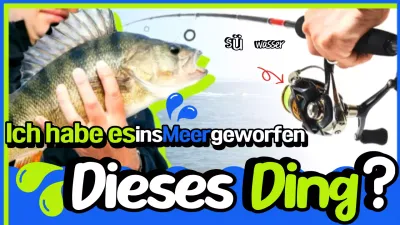 Green Simple Fishing Förderung