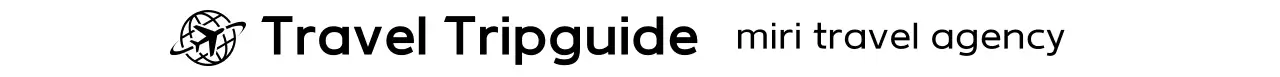 검정 심플 여행 로고