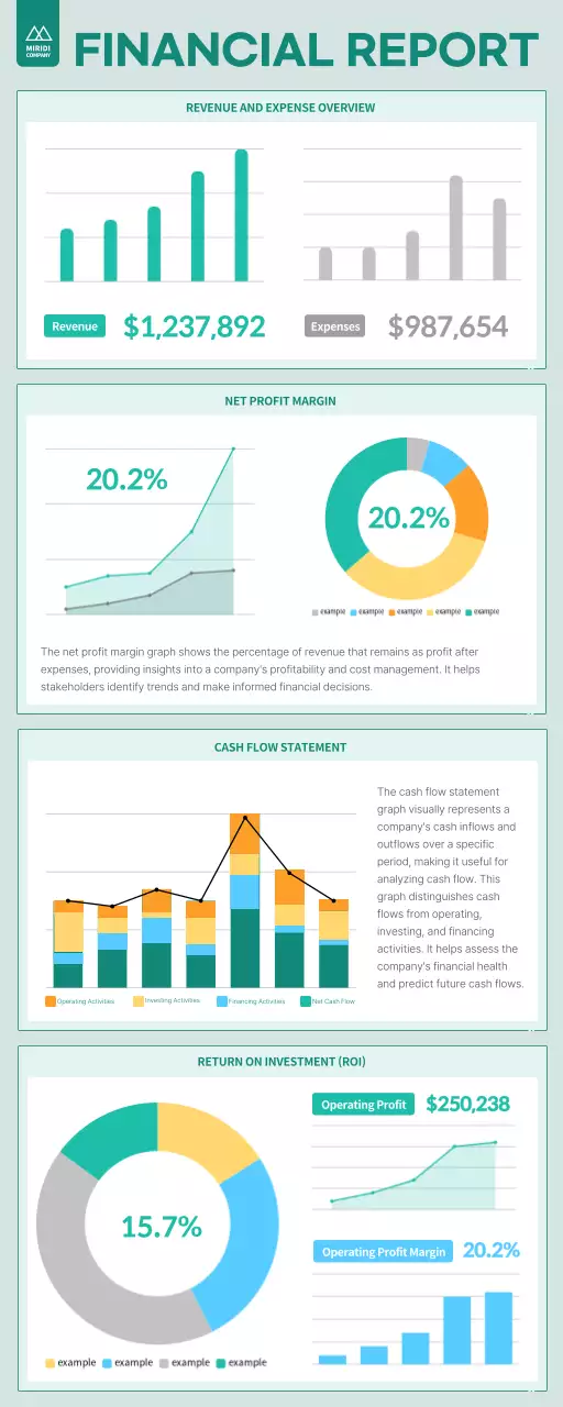 Teal Professional Finance Report 인포그래픽