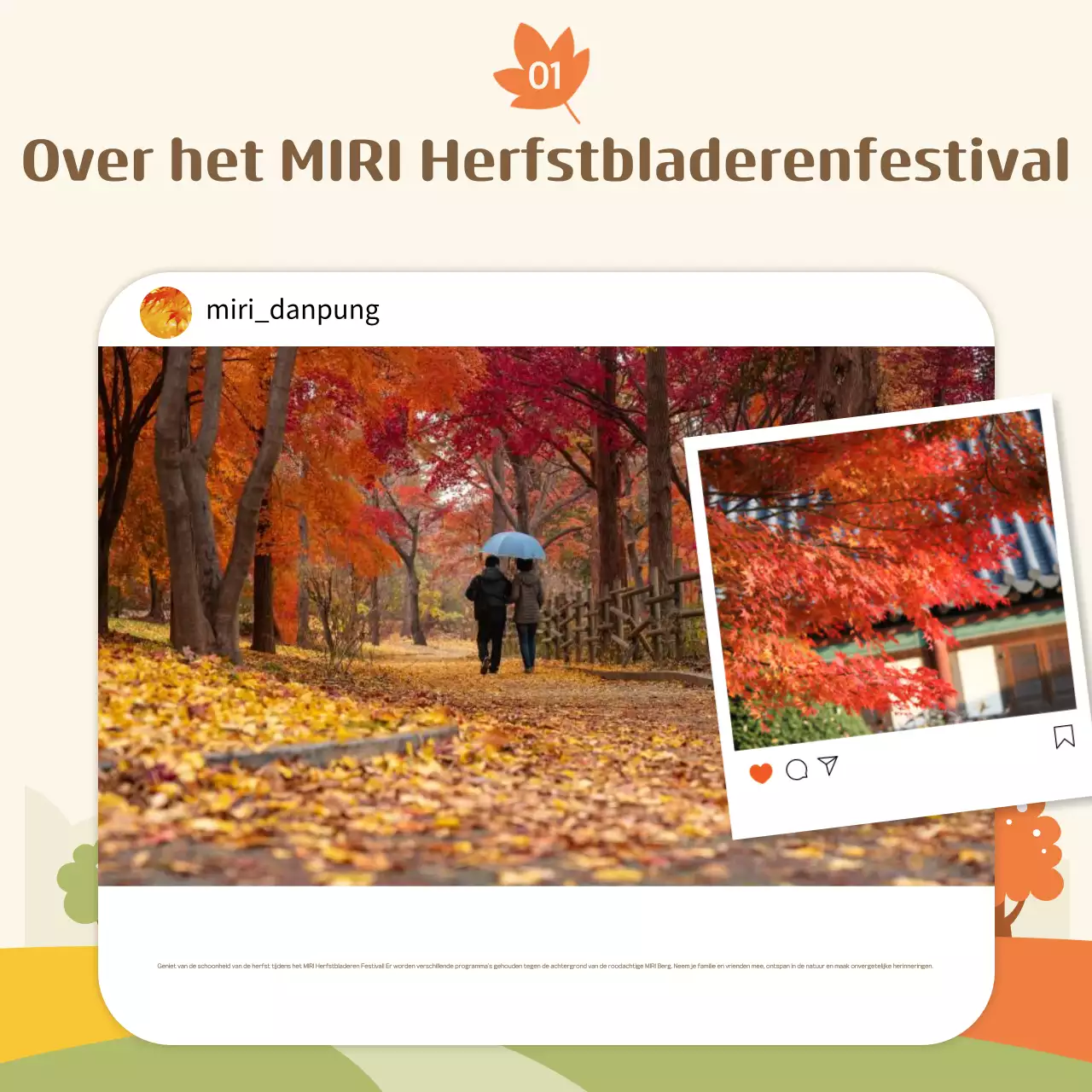Gids voor het Orange Foliage Festival