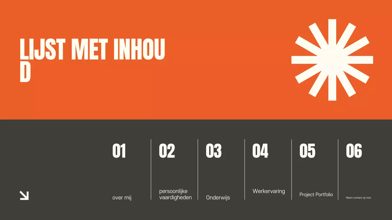 Oranje moderne portfolio documentpresentatie