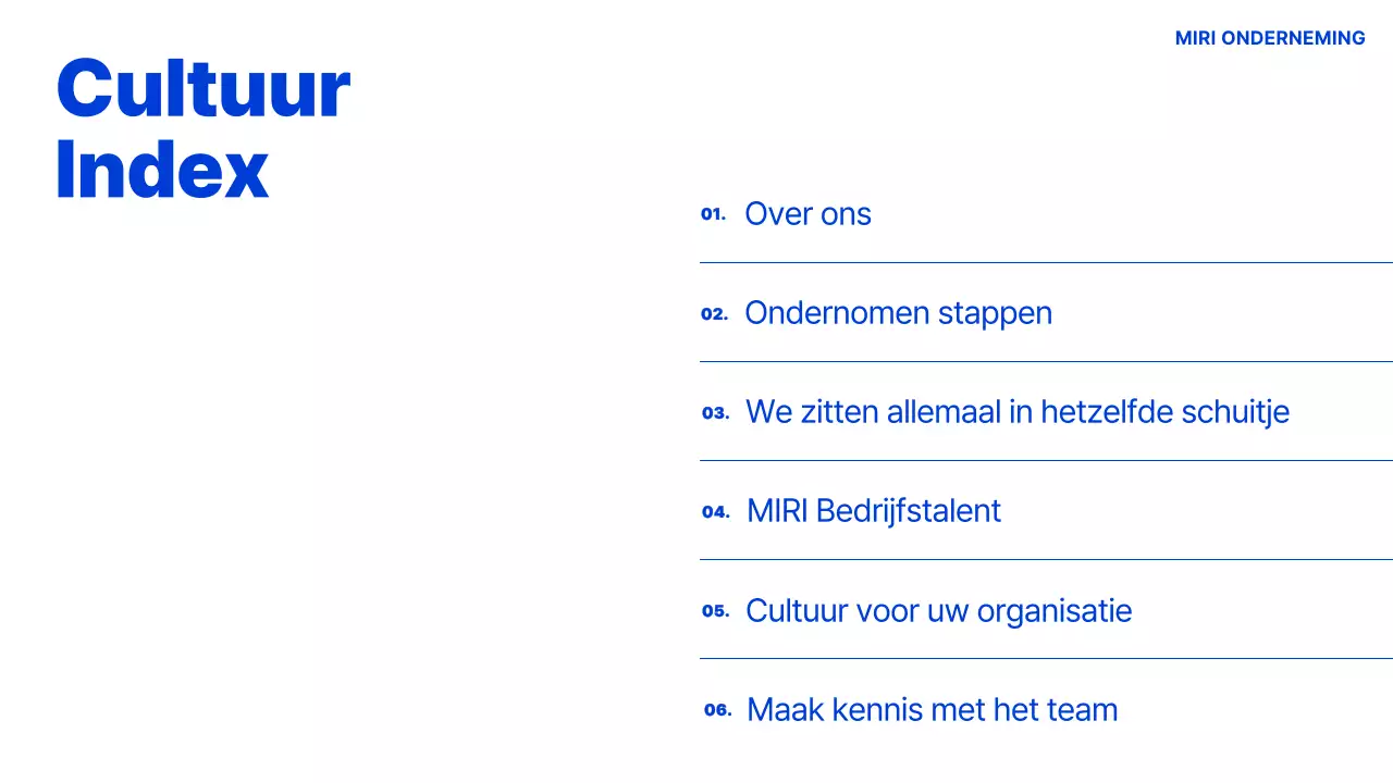 Blauw Handboek Moderne Organisatiecultuur