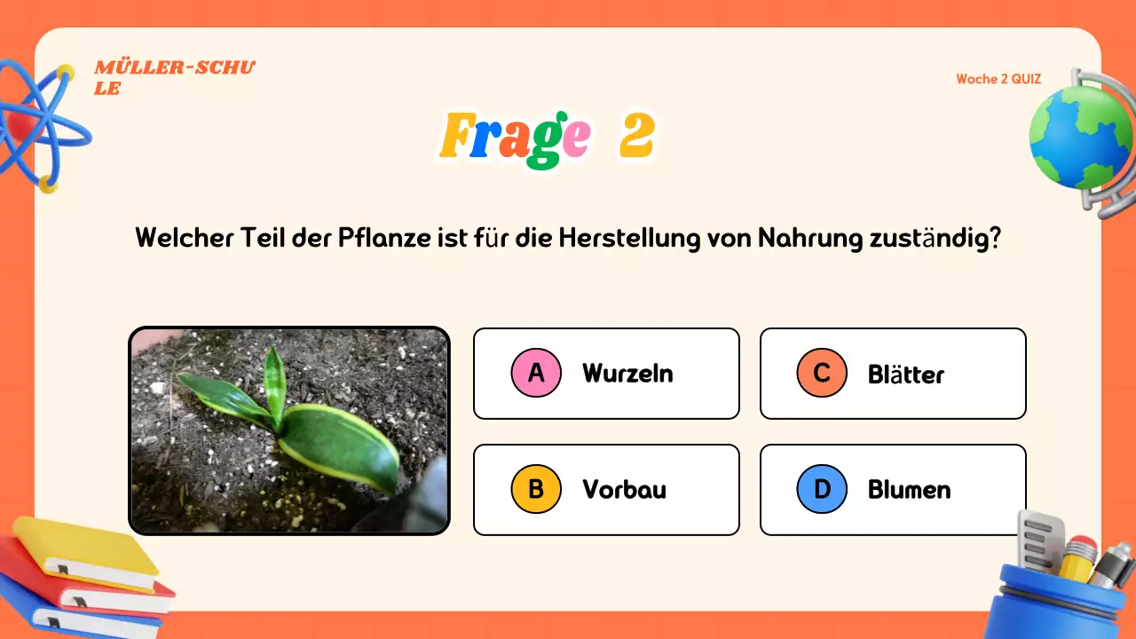 Buntes modernes Quiz-Klassenmaterial