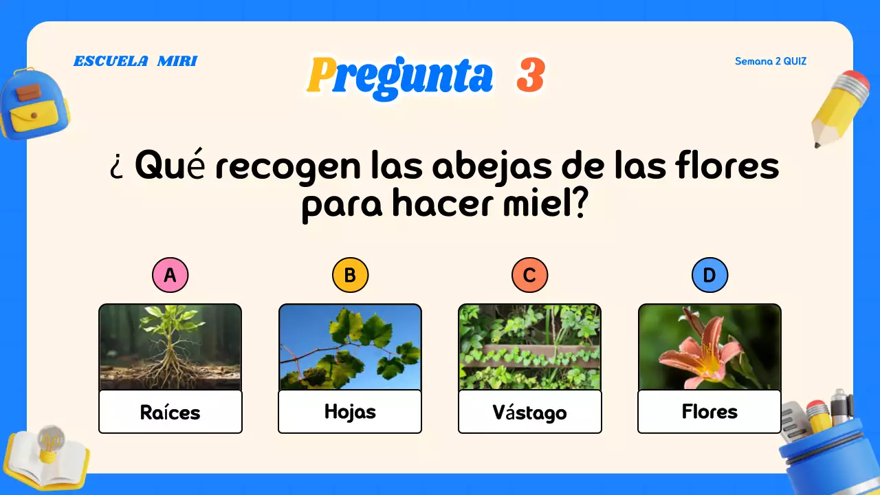 Material de clase de concurso moderno y colorido