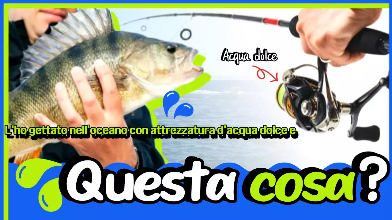 Promozione Pesca Verde Semplice