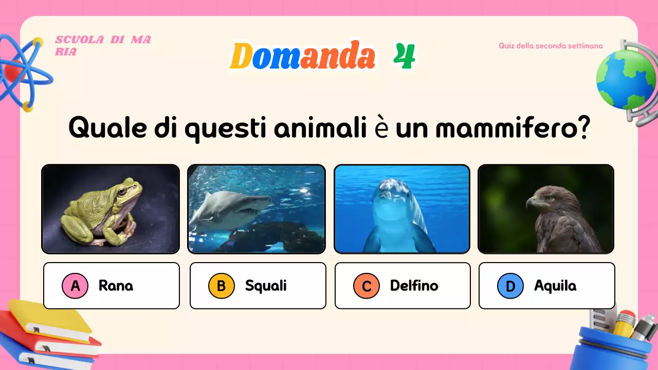 Materiale moderno e colorato per le lezioni a quiz