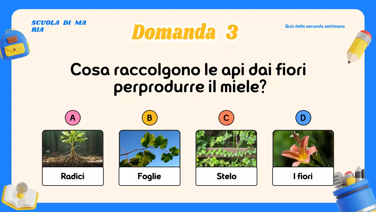 Materiale moderno e colorato per le lezioni a quiz