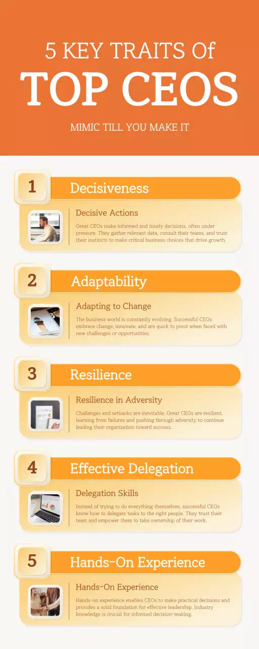 Orange Professional Leadership Guide Infographic