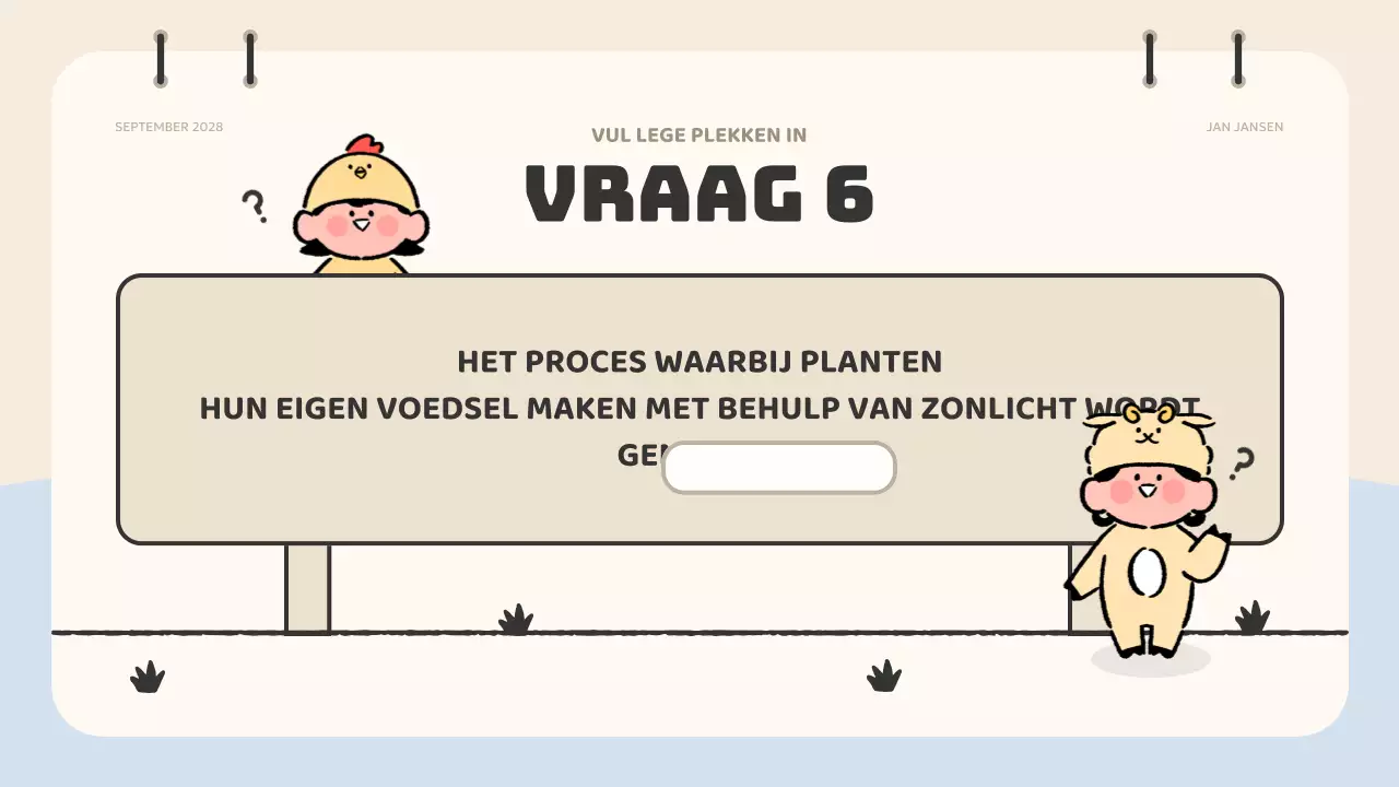 beige animatie quiz materiaal