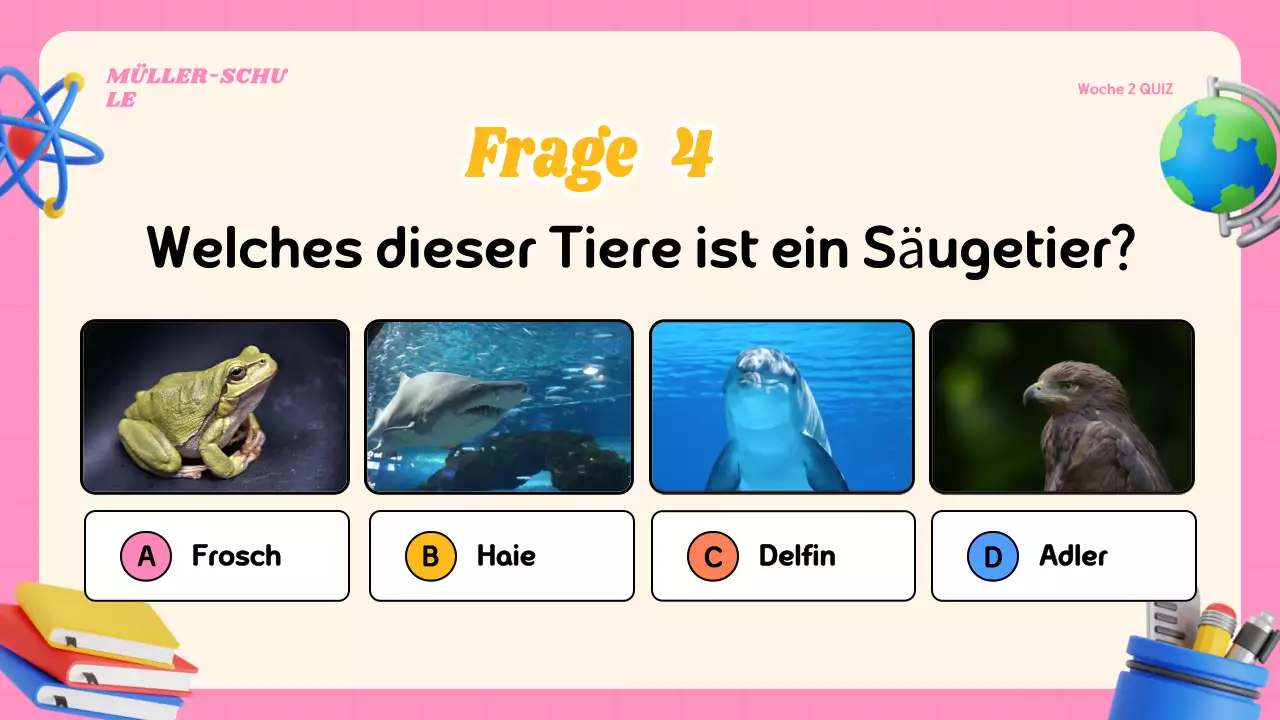 Buntes modernes Quiz-Klassenmaterial