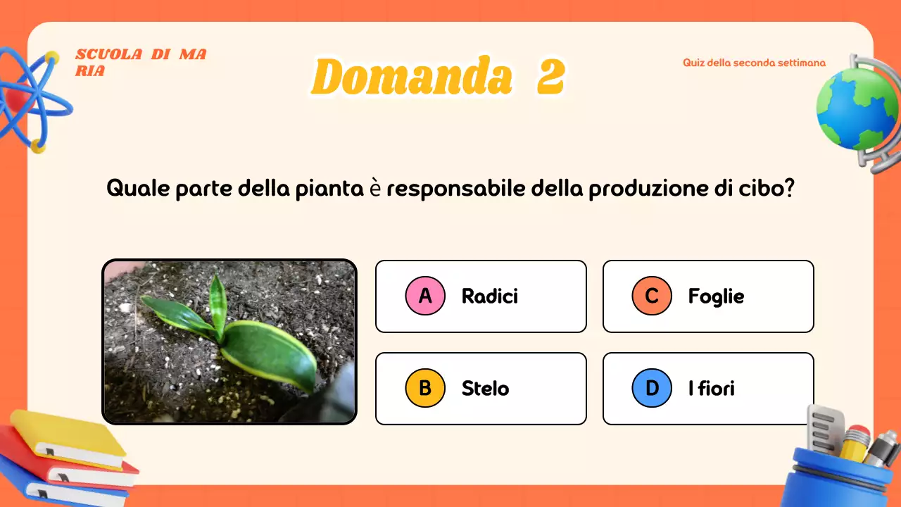 Materiale moderno e colorato per le lezioni a quiz