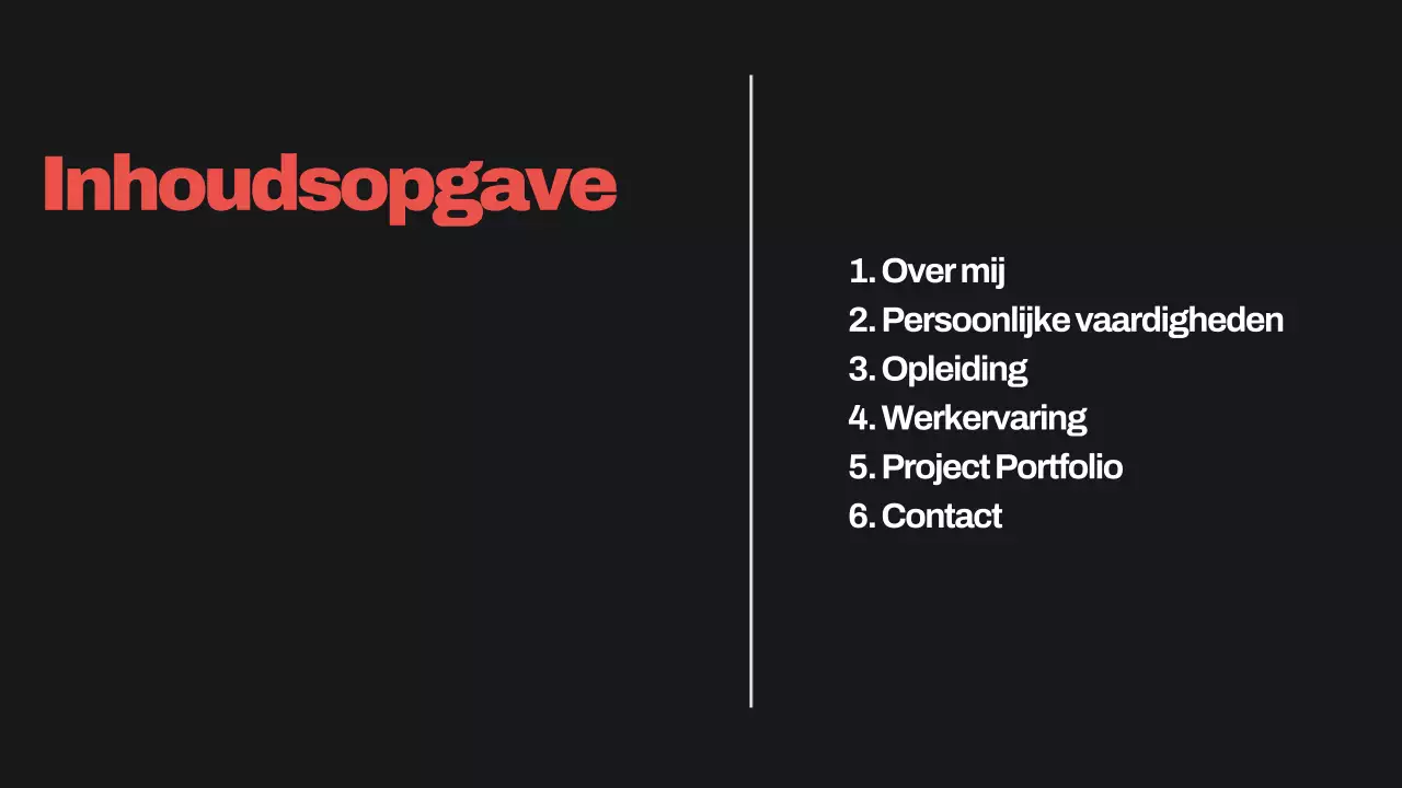 zwart modern portfolio cv