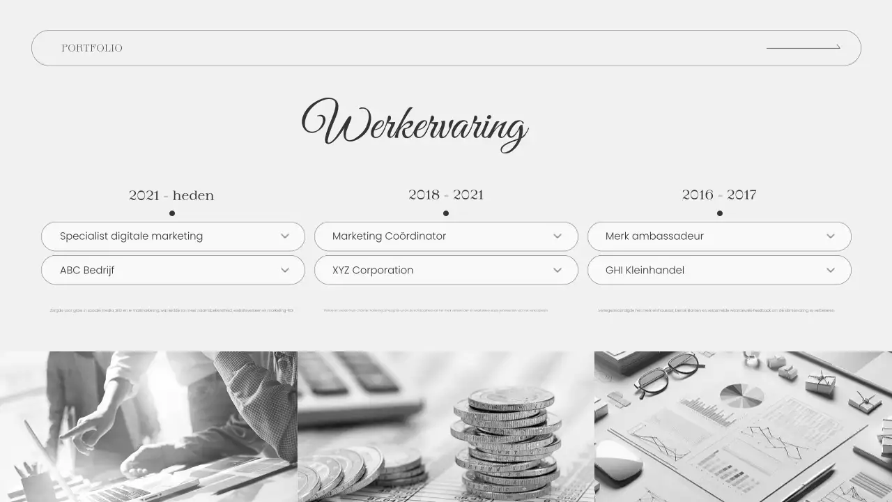 blauw elegant portfolio cv