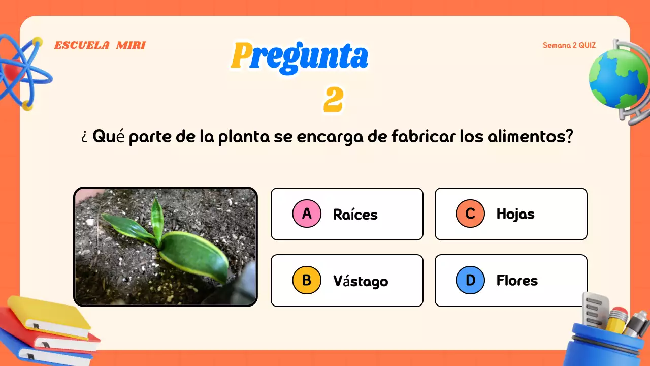 Material de clase de concurso moderno y colorido