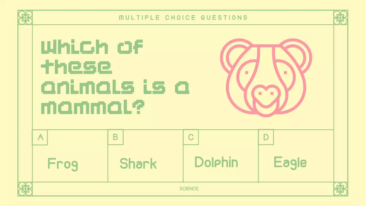 Pink Retro Quiz Announcement Presentation