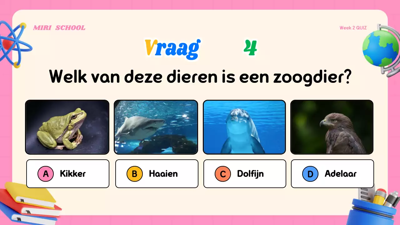 Kleurrijk modern quizlesmateriaal