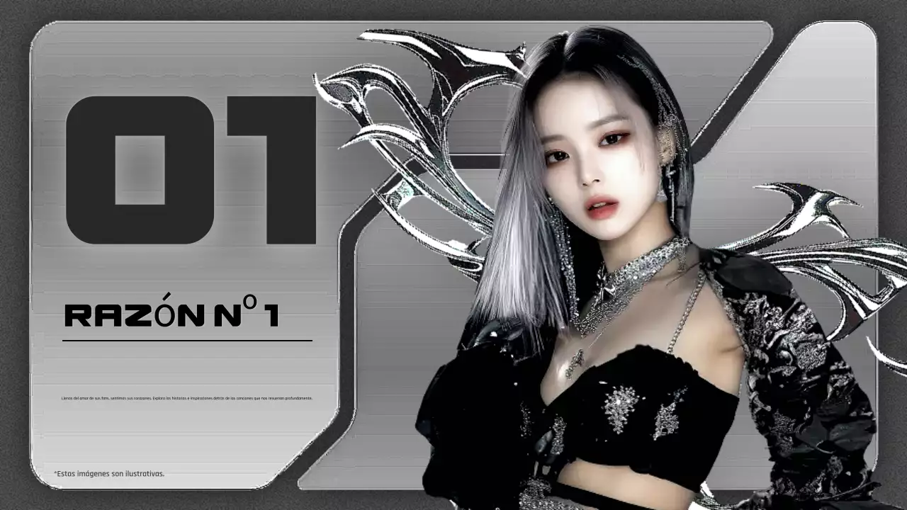 guía del fandom cyber idol gris