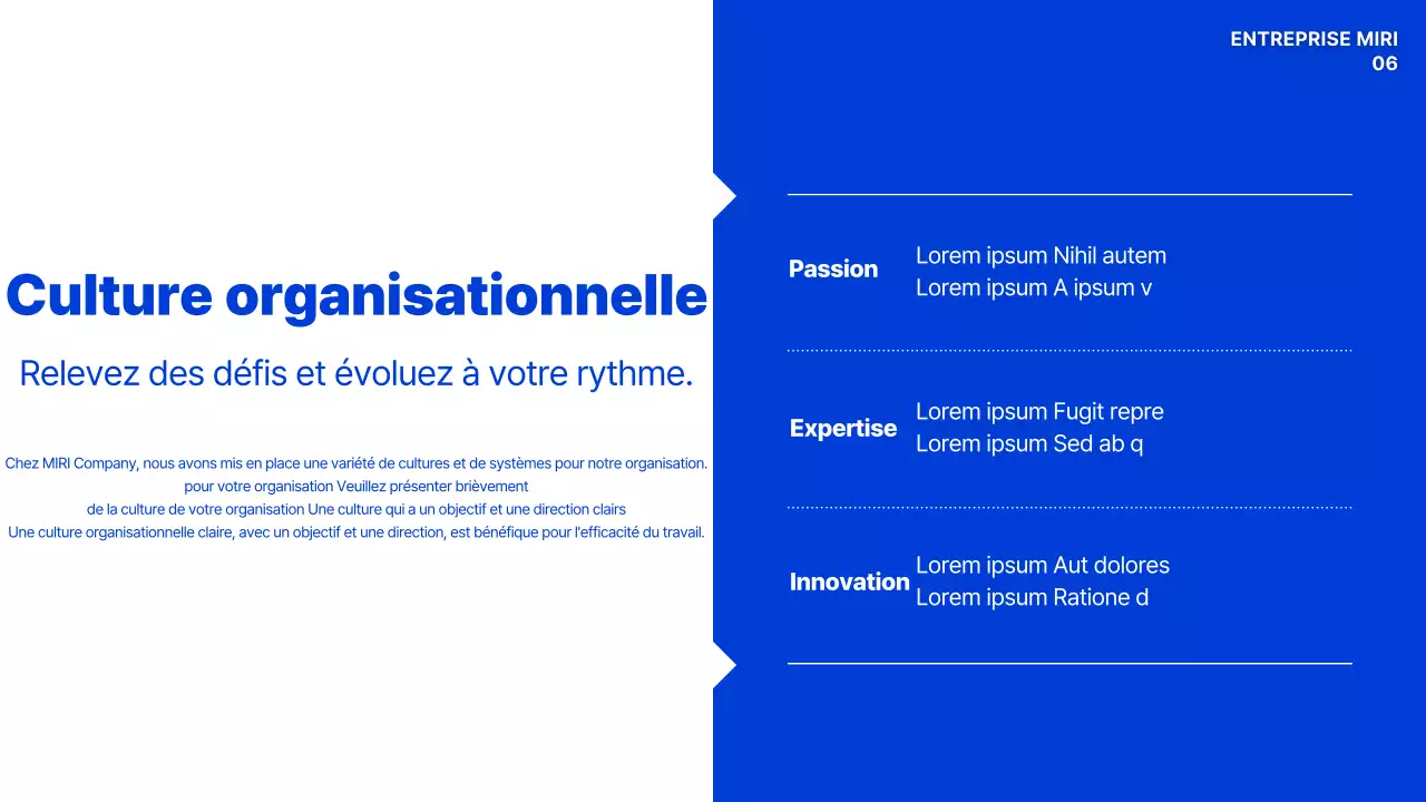 Manuel de culture organisationnelle moderne bleue