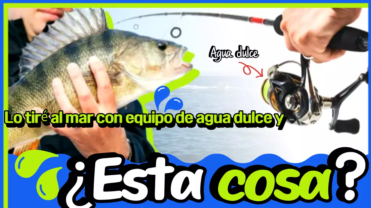 Promoción Green Simple Fishing