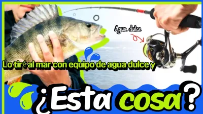 Promoción Green Simple Fishing