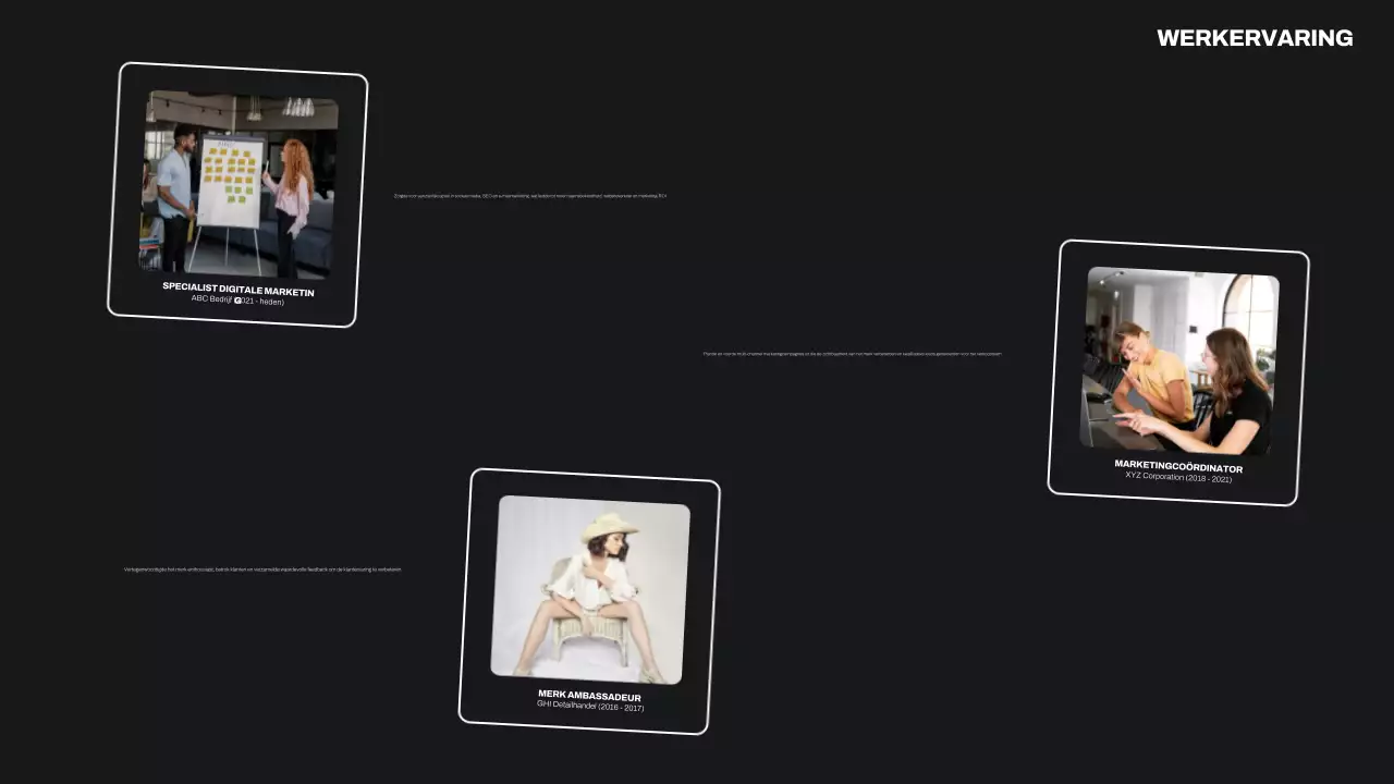 zwart modern portfolio cv