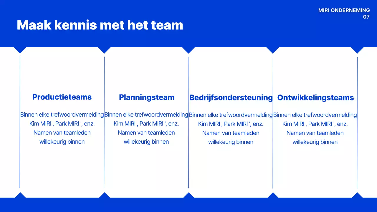 Blauw Handboek Moderne Organisatiecultuur