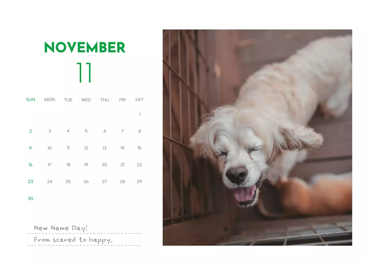 A calendar with a puppy photo and cute message in a green accent color