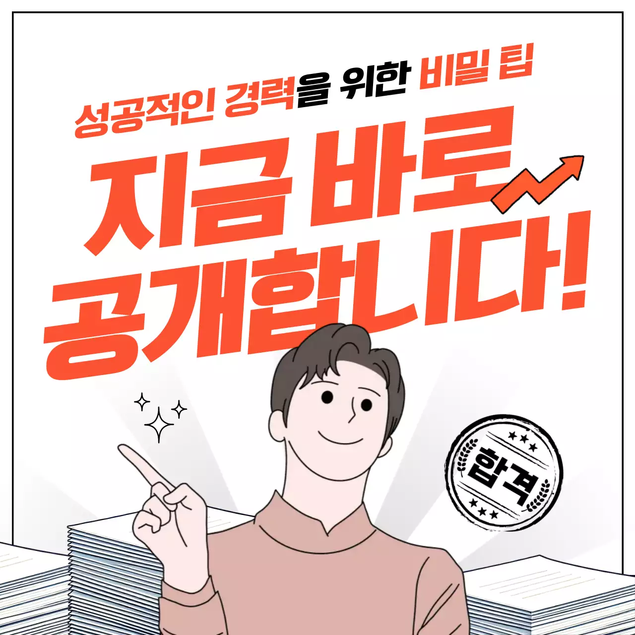 주황 기본 경력 안내