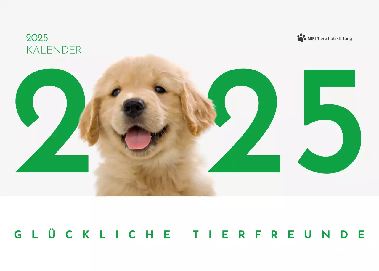 Ein Kalender mit einem Welpenfoto und einer süßen Botschaft in grüner Akzentfarbe
