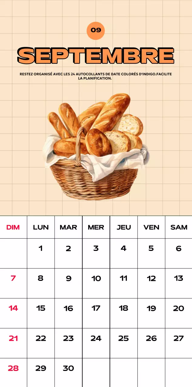 Calendriers colorés avec une variété d'illustrations rétro