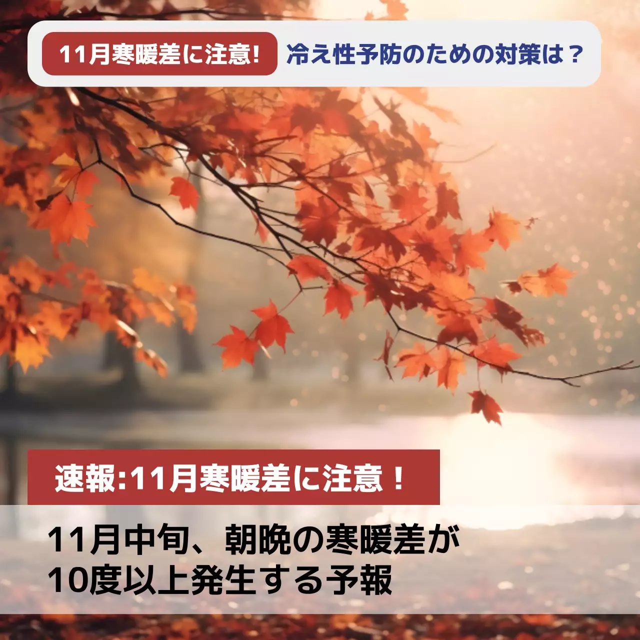 オレンジ ナチュラル 季節 お知らせ