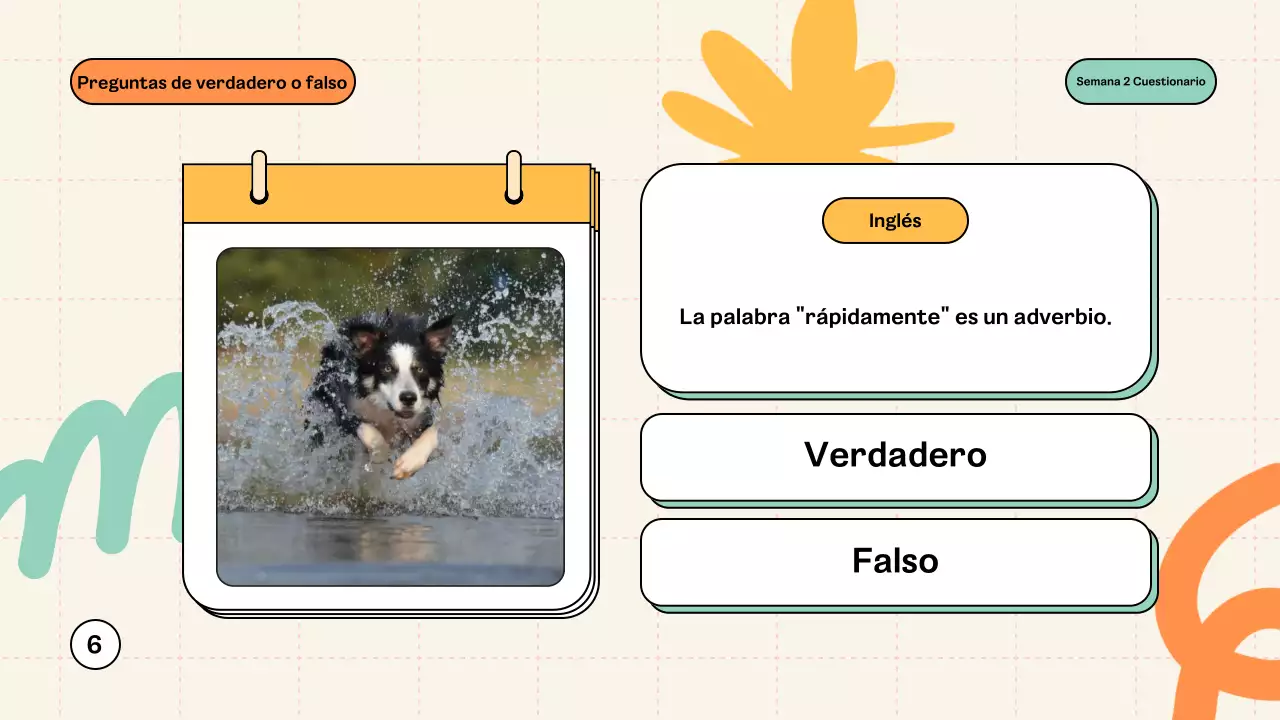 Mint Modern Quiz Material de clase