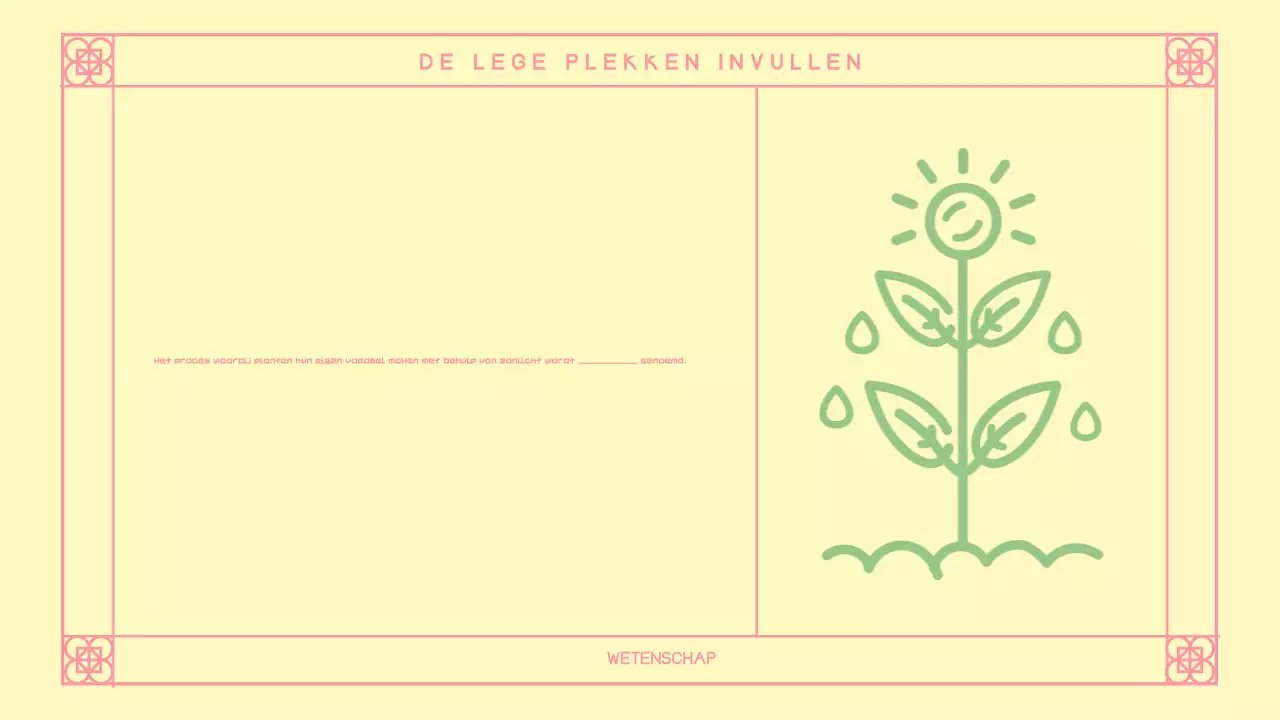 Schattige Roze Oosterse Quiz Layout