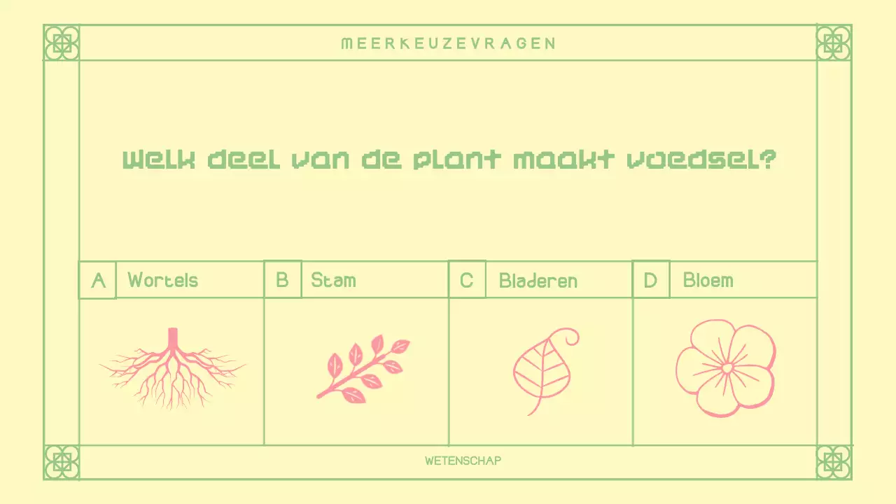 Schattige Roze Oosterse Quiz Layout