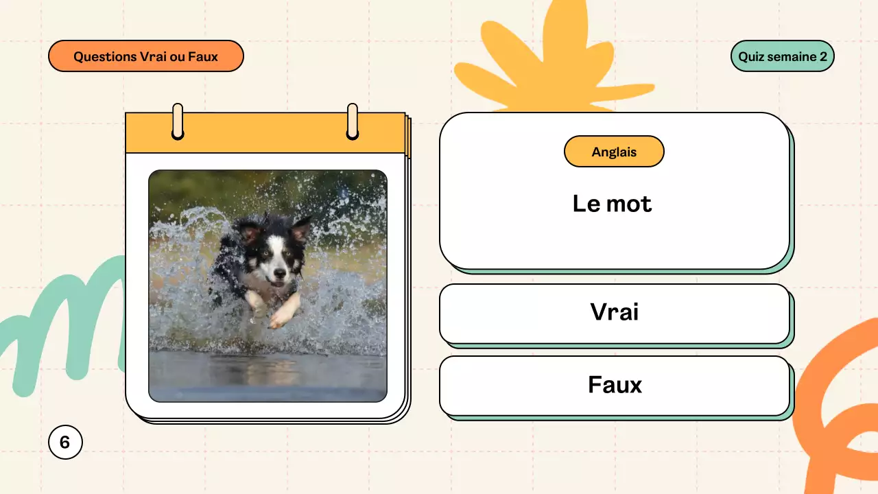 Matériel Mint Modern Quiz Class