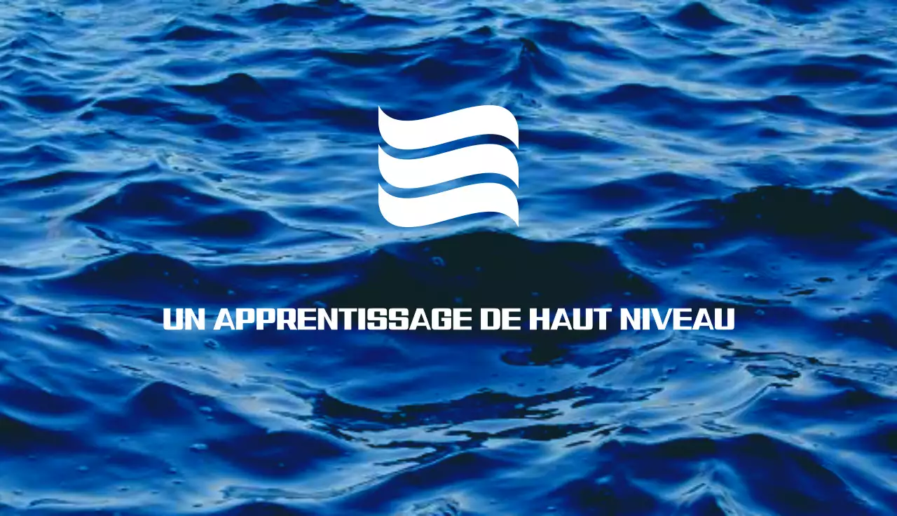 carte de visite moderne rose