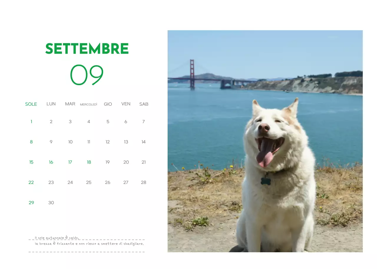 Un calendario con la foto di un cucciolo e un simpatico messaggio in colore verde.